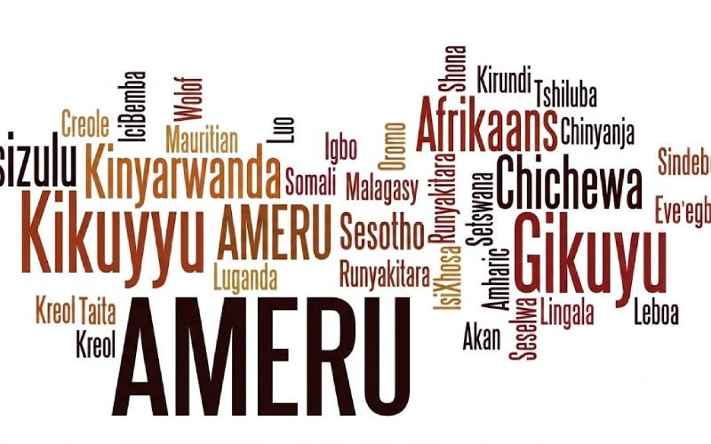 Initiative to save Meru language launched