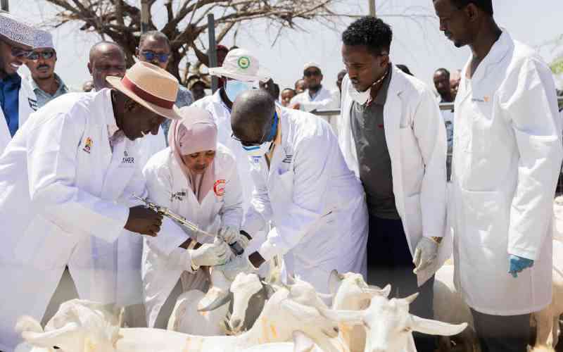 Farmers union, Meru county partner in livestock vaccination drive