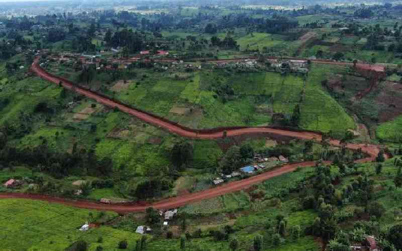 Court stops construction of Mau Mau road