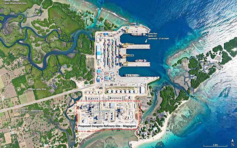 Baking the cake: Why Dangote Lamu Complex must reset our economic story