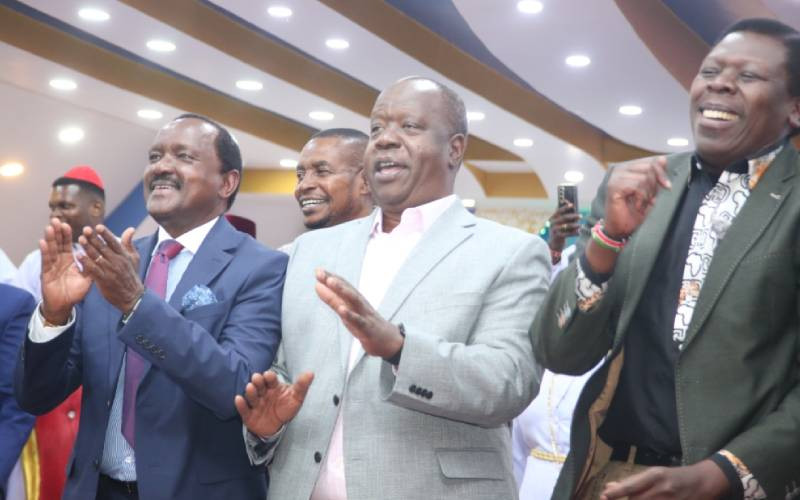 "We are losing the country to anarchy": Opposition sounds alarm over goonism, abductions