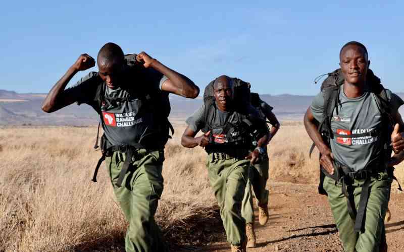 Rangers face risks without adequate welfare protection