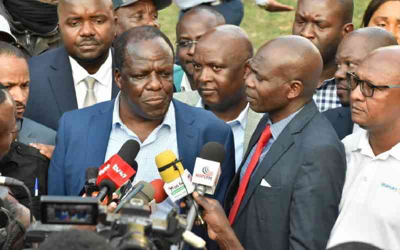 Western governors criticised for supporting Ruto