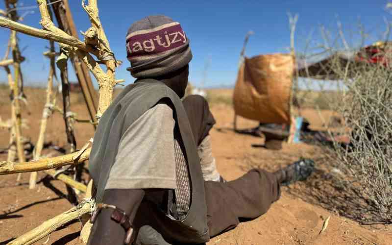 'They beat us with whips', Sudan RSF detainees tell of horrors in El-Fasher