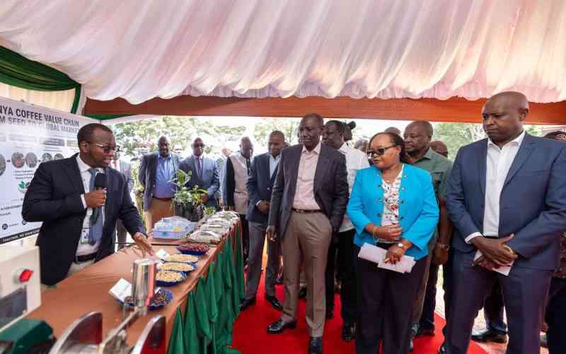 Ruto pledges more reforms, promises coffee farmers Sh300 per kilo