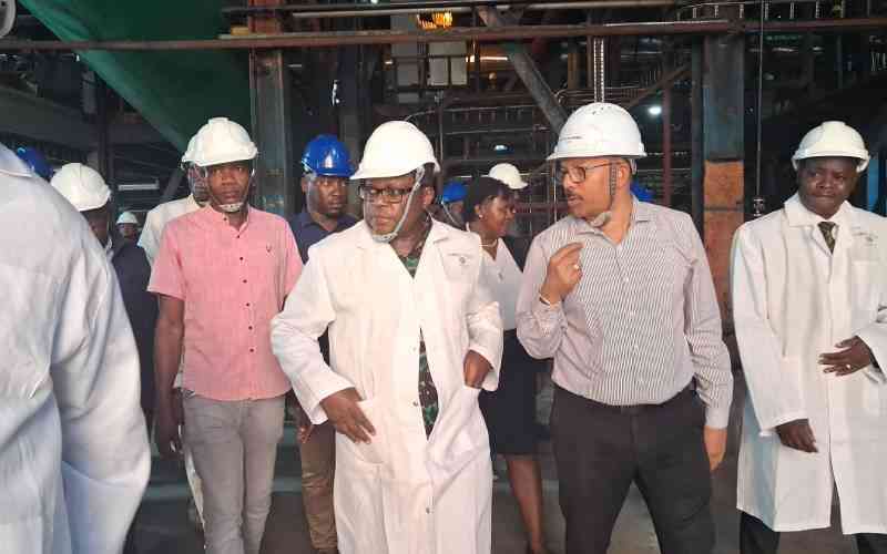 Government told to stop illegal sugar imports
