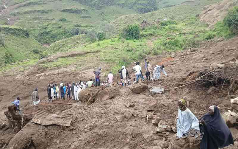 Sudan recovers 100 bodies after Darfur landslide: rebel group