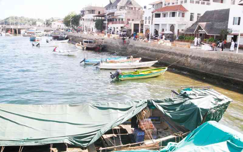 Mega ship call, Dangote refinery lifts Lamu's economic prospects