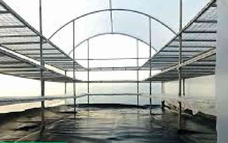 Sun to the rescue: How solar driers are saving harvests