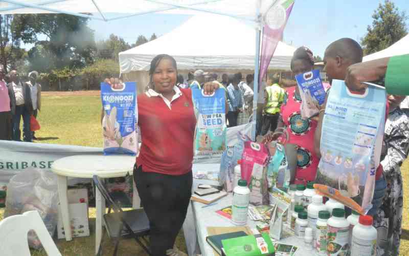 With an ageing farming population, Kenyan youth urged to embrace agriculture