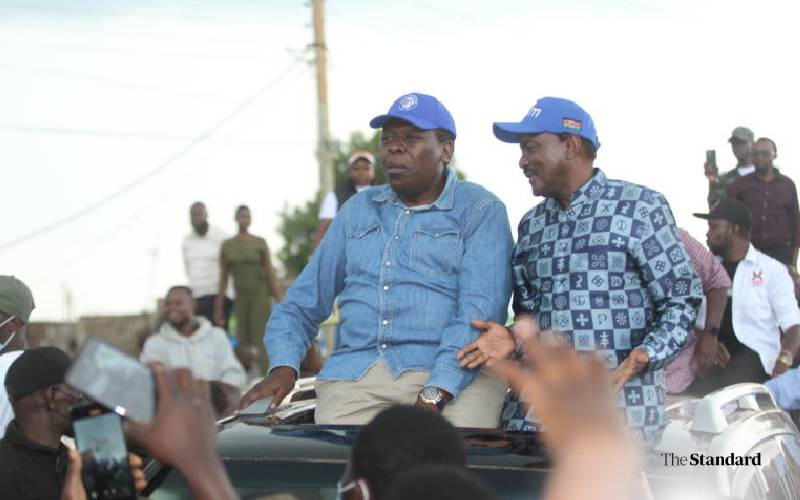 Opposition warns against police brutality during Saba Saba memorial