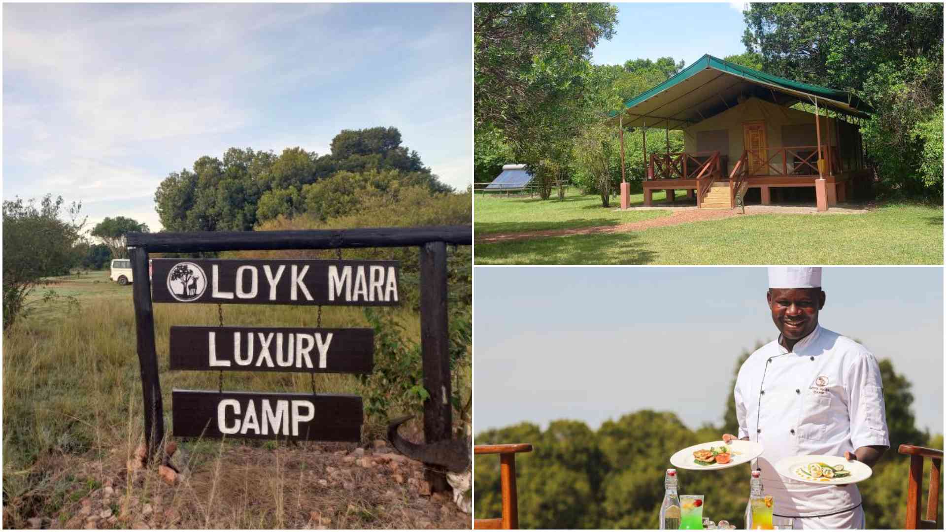 Loyk Mara: Jewel in the wild