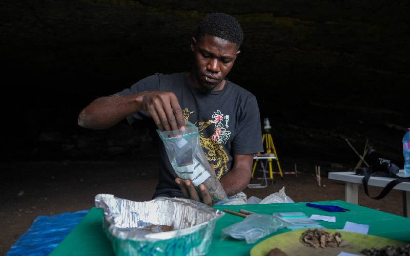 Gabon forest cave reveals clues about prehistoric central Africa