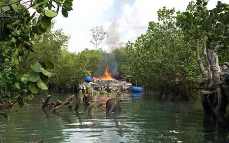Diani communities unite to fight loss of Kenya's fragile mangrove forests