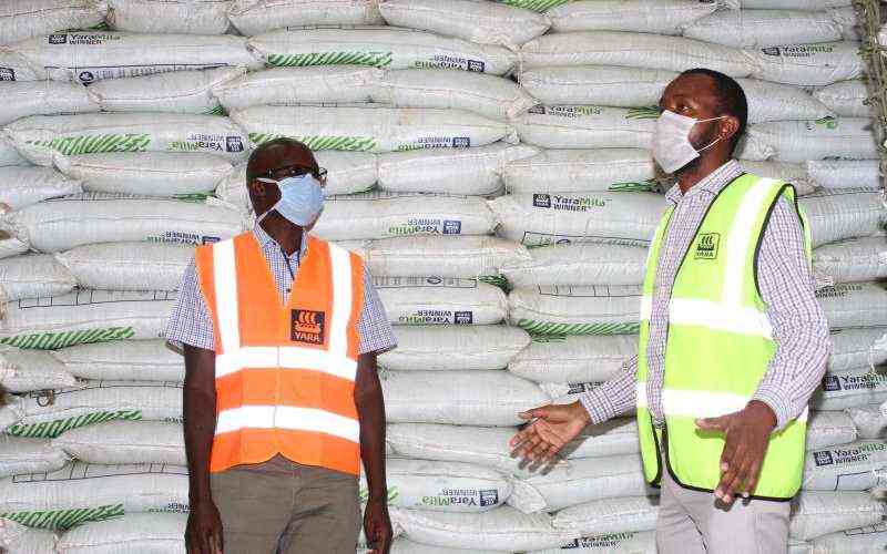 Phosphate Diplomacy: Africa has a solution to global food security
