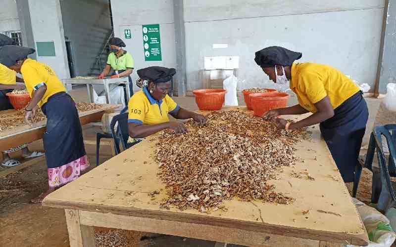 Kenya, Nigeria and Egypt among countries to benefit from Sh37 billion global fund