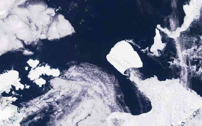 Massive Iceberg drifts beyond Antarctic waters