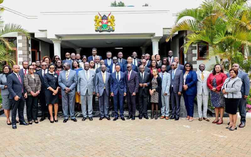 Grow trade volumes to support recovery, DP tells new envoys