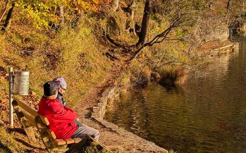 Urgent steps needed to save our landscapes