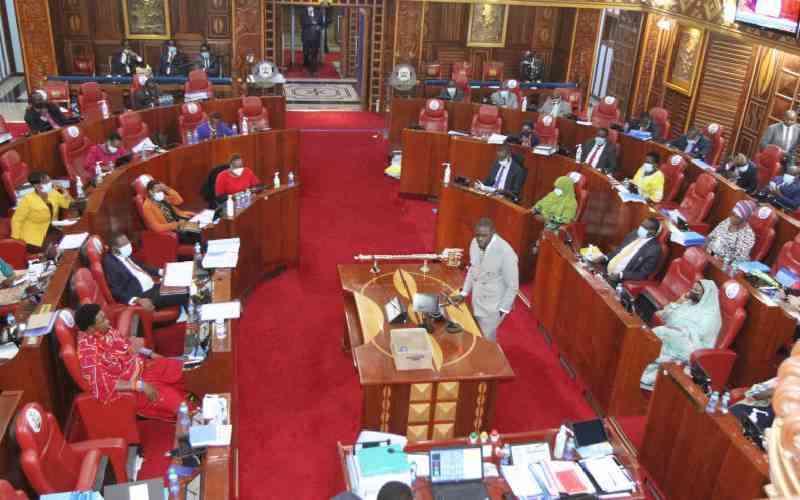 MPs say senators insincere about Sh415b allocation to counties