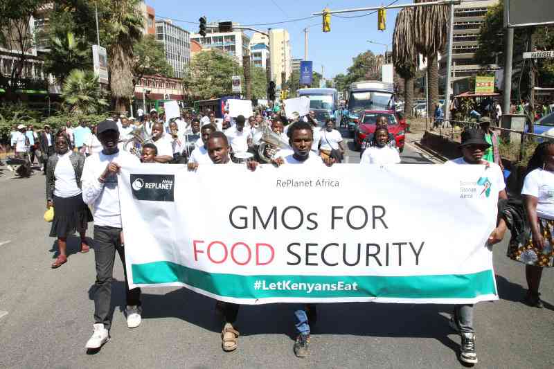 Groups back lifting of ban on GMO foods