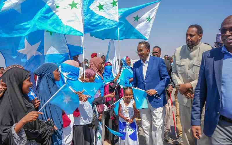 Somalia election: PM Farah says country needs inclusive leadership