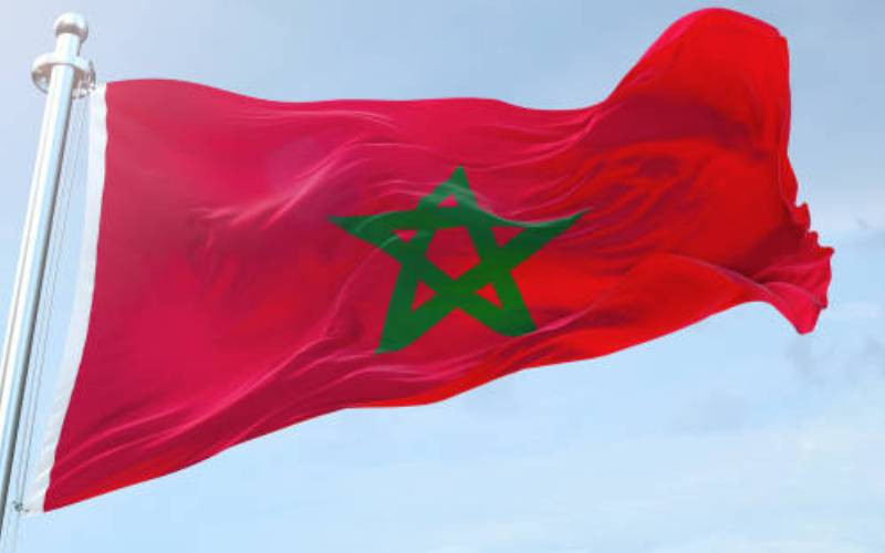 Probe brutality against migrants in Morocco