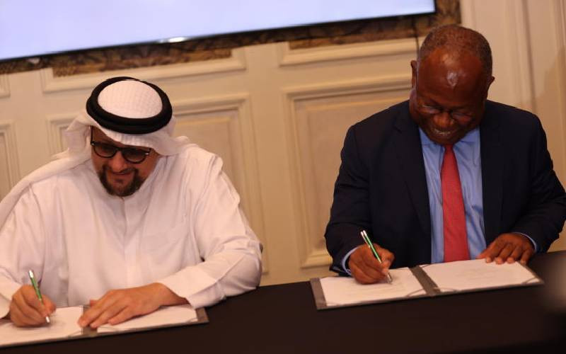 UAE to provide clean energy to 100 million Africans by 2035