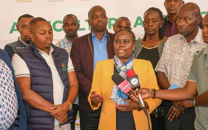 Pyrethrum farmers back proposed regulations to revive dying sector