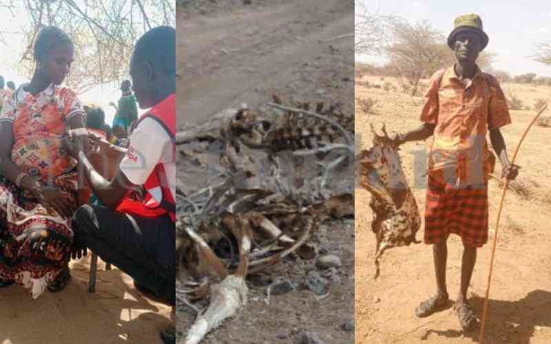 Pictorial: Drought ravages parts of Kenya