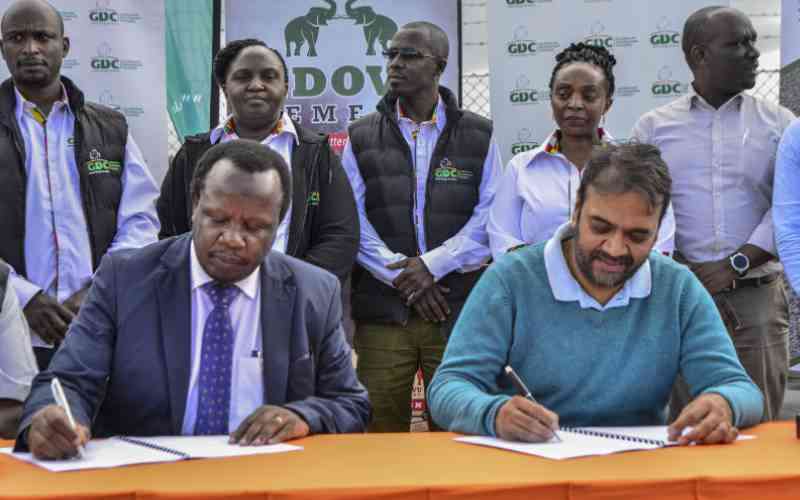 Geothermal agency signs deal to supply cement factory with steam