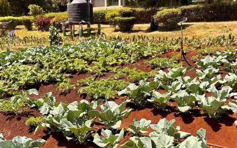 What biodiversity in food, agriculture can achieve quickly