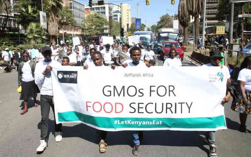 Big win for Ruto as court paves way for GMO food