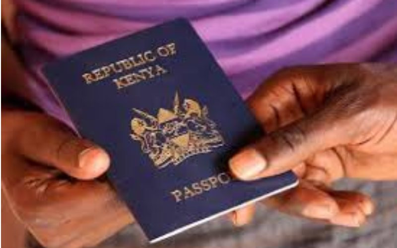 MPs demand passports be out within 3 days