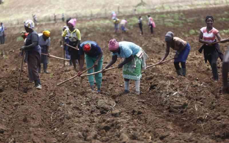 Why improving soil health holds the key to food security in Kenya