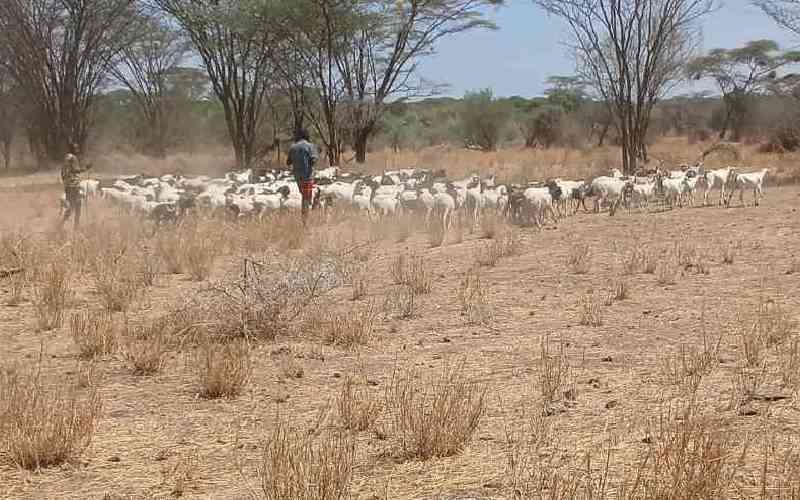 NDMA warns of worsening drought conditions in nine Asal counties