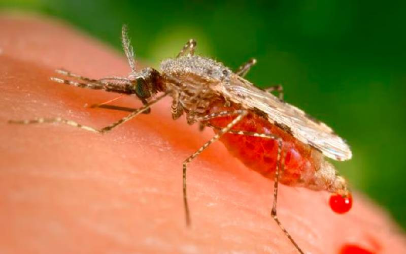 Amid climate change, mosquitoes migrate; will malaria follow?