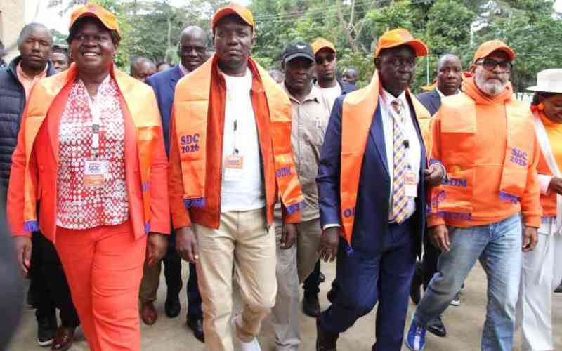 The six elephants in Oburu and Wanga closet