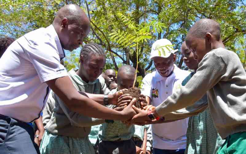 Agency, partners intensify efforts to conserve Mara ecosystem ahead of fete