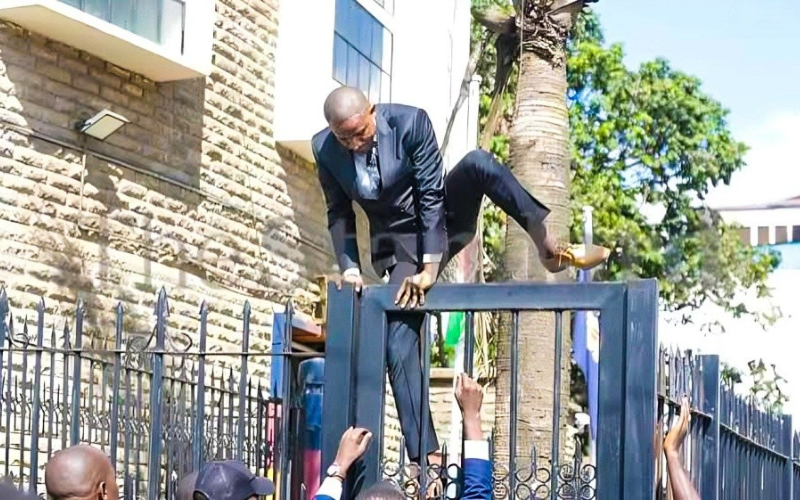 Babu Owino shares story behind viral Parliament fence photo during 2024 protests