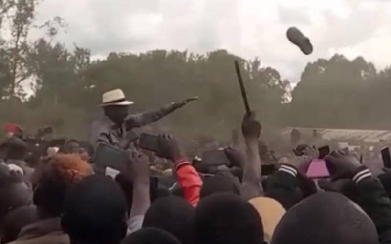 'Zakayo shoe-ka': Kenyans flood social media with memes after shoe hits Ruto in Migori