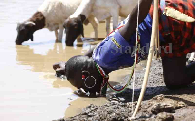 Pastoralists embrace grazing patterns to end hostilities