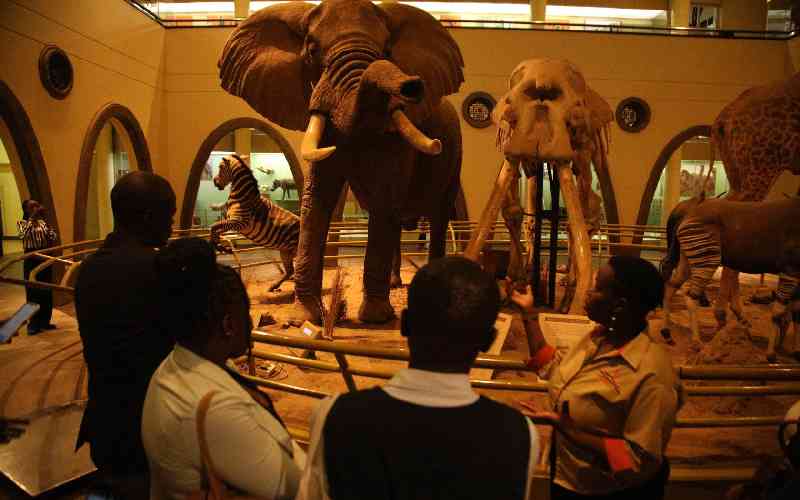 National Museums of Kenya banks on 'night tours' to enhance tourism