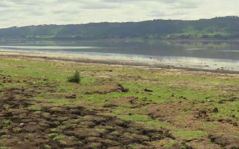 Wetlands aren't wastelands; Kenya can't afford to lose them