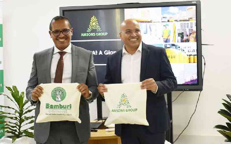 Tanzanian firm Amsons eyes Kenya's renewable energy sector