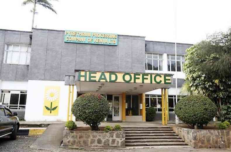 Government accelerates bid to revive pyrethrum