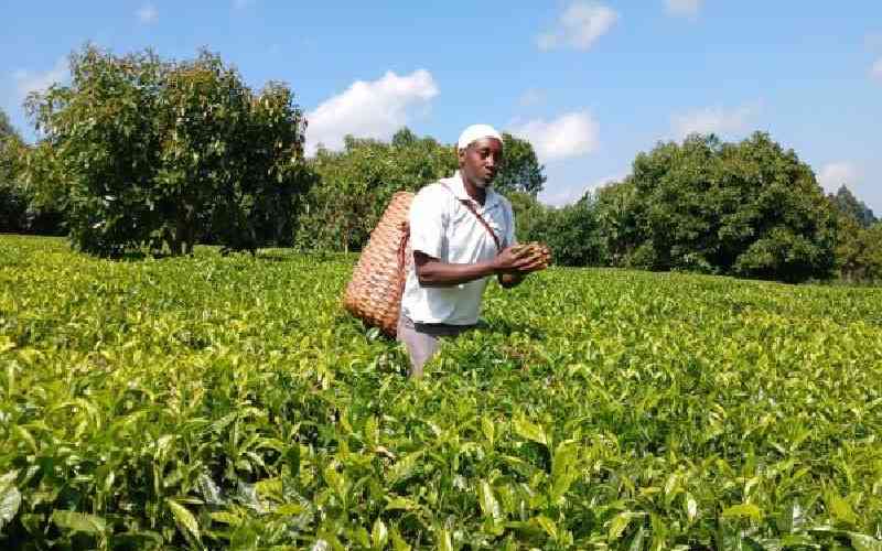 Push for law to facilitate county branding of products