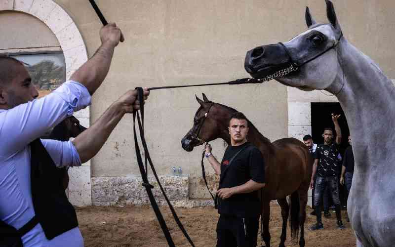 'In our blood': Palestinians keep horse culture alive against all odds