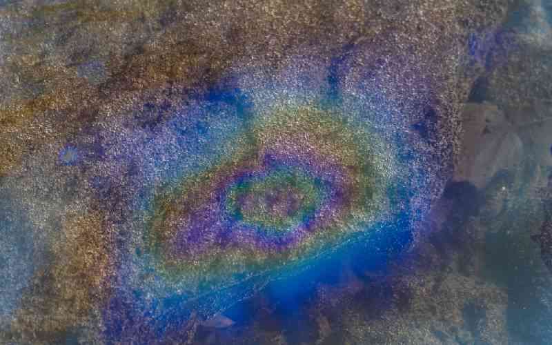 Scientists and policy makers call for urgent phase out of toxic chemicals