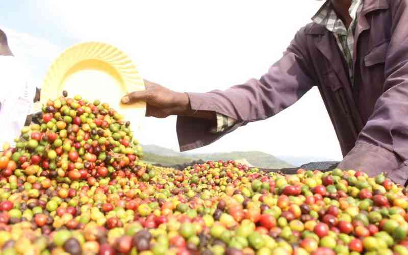 Union steps up bid to raise farmers' representation in Coffee Exchange